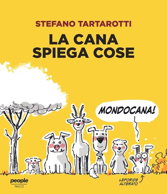 ms-edizioni-da-cana-la-cana-spiega-cose-jeu-de-cartes-humour image 1