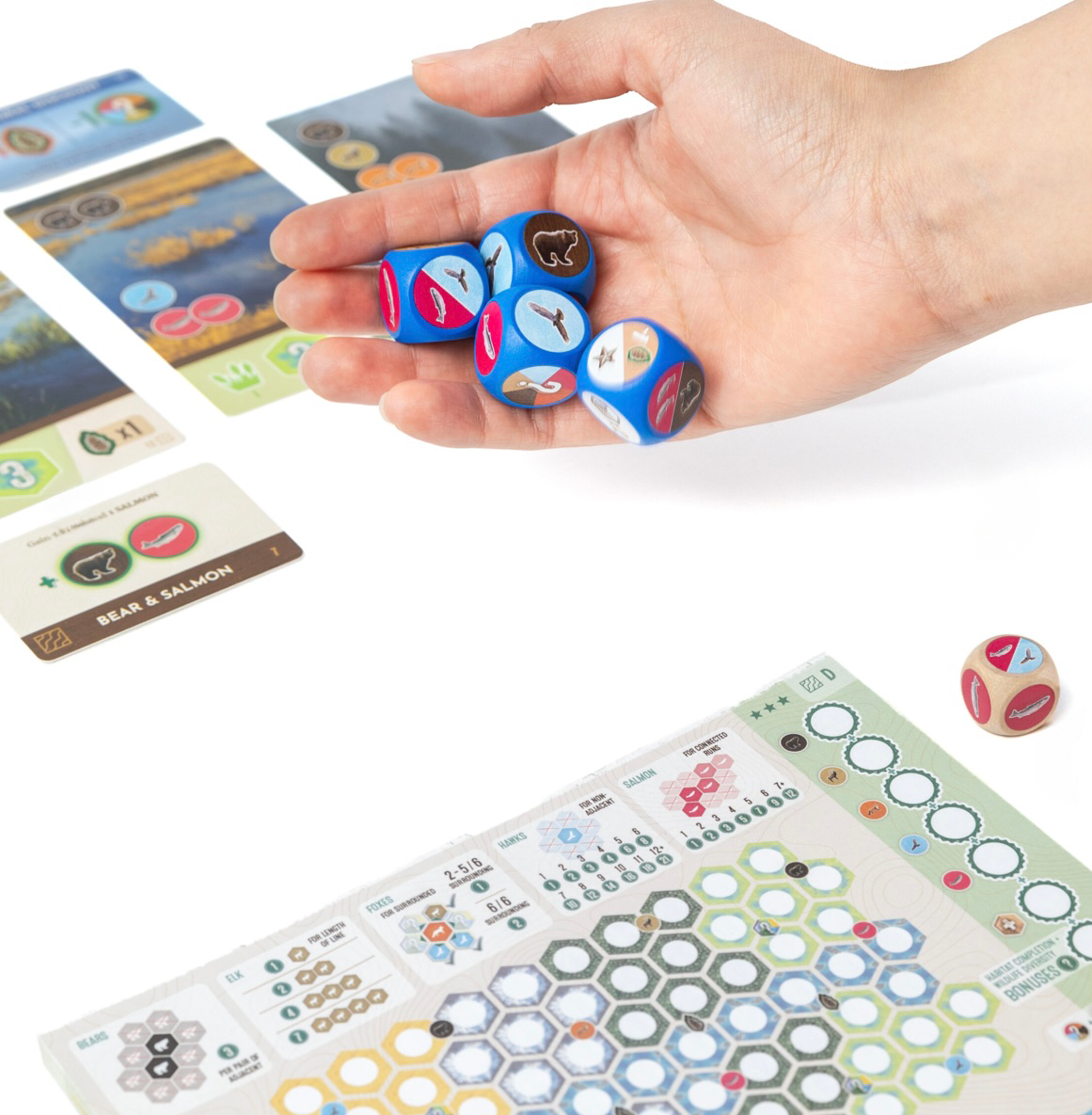 little-rocket-games-blue-collection-cascadia-rolling-rivers-jeu-roll-write image 4