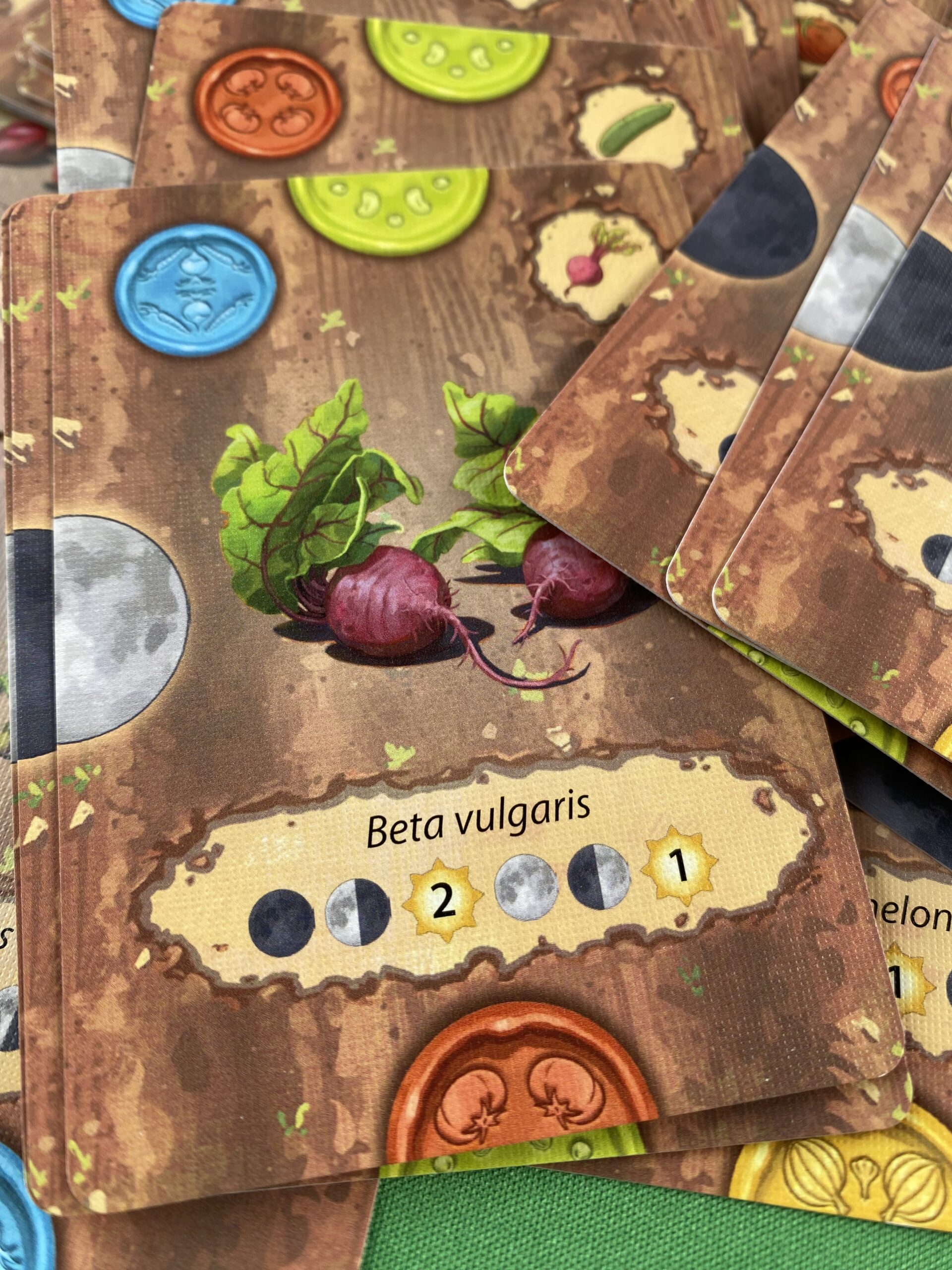 little-rocket-games-crops-jeu-de-strat-gie-potager image 6