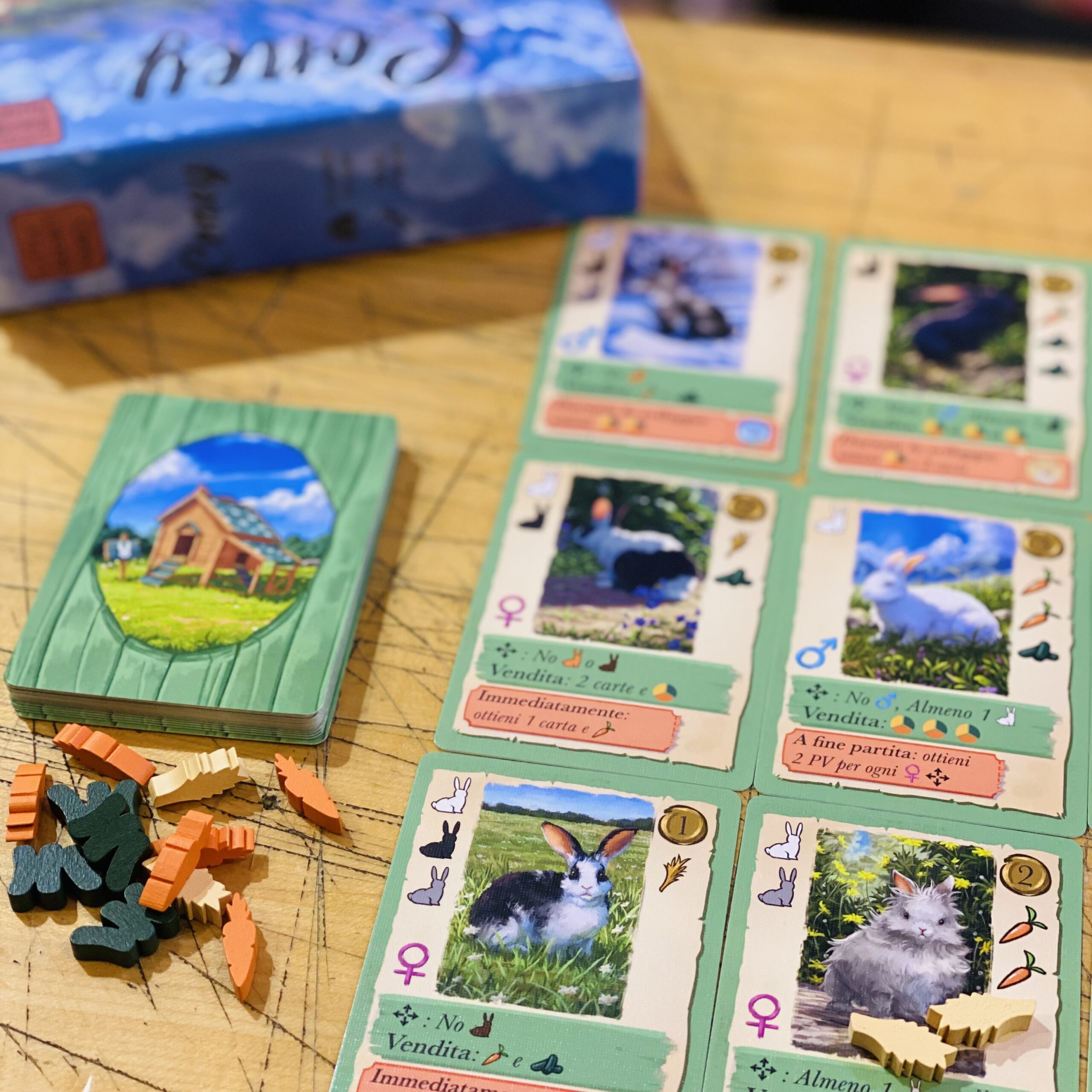little-rocket-games-blue-collection-coney-jeu-de-cartes-lapins-1-4-joueurs image 3