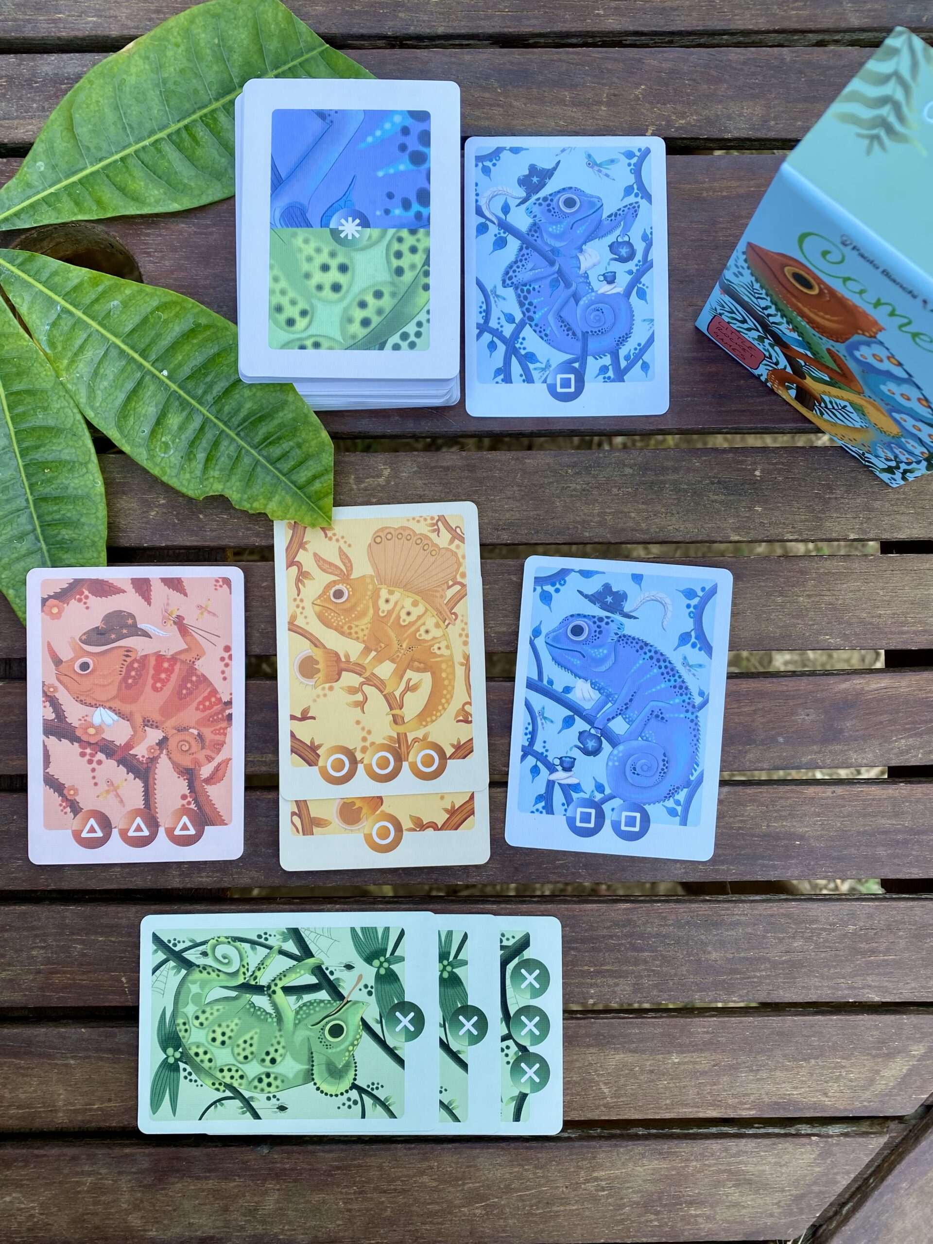 little-rocket-games-camelio-jeu-de-cartes-couleurs-cam-l-on image 8