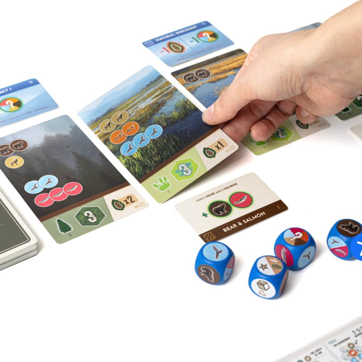 little-rocket-games-blue-collection-cascadia-rolling-rivers-jeu-roll-write image 6