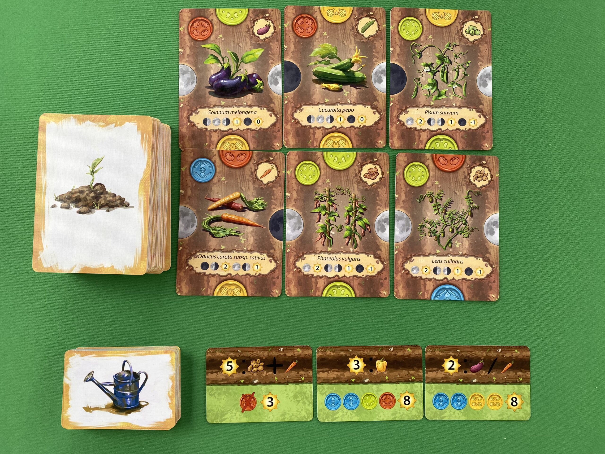 little-rocket-games-crops-jeu-de-strat-gie-potager image 4