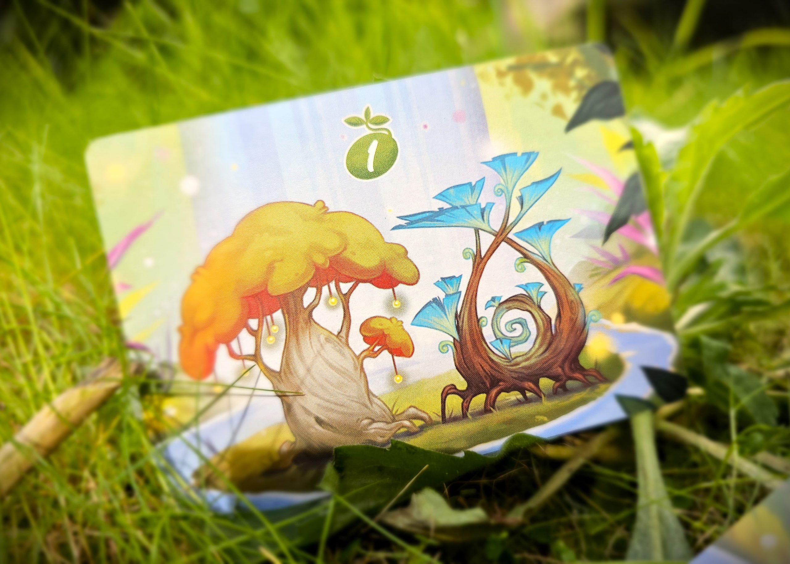 little-rocket-games-blue-collection-treetopia-jeu-de-soci-t-nature image 6