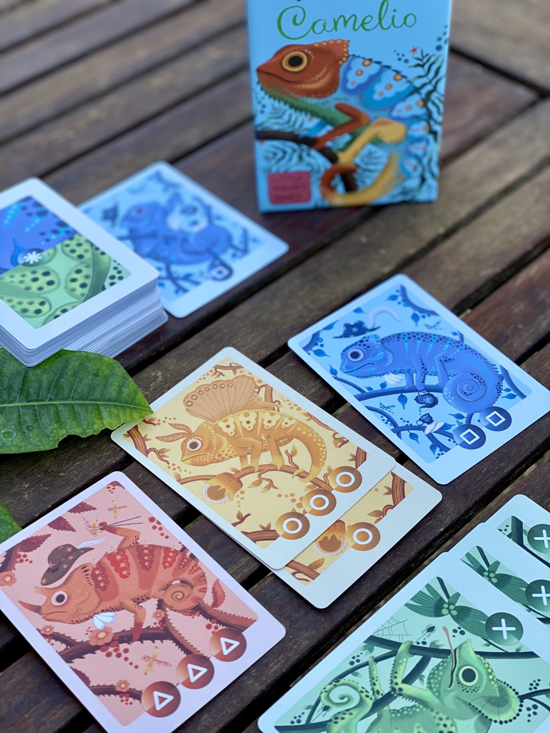 little-rocket-games-camelio-jeu-de-cartes-couleurs-cam-l-on image 7