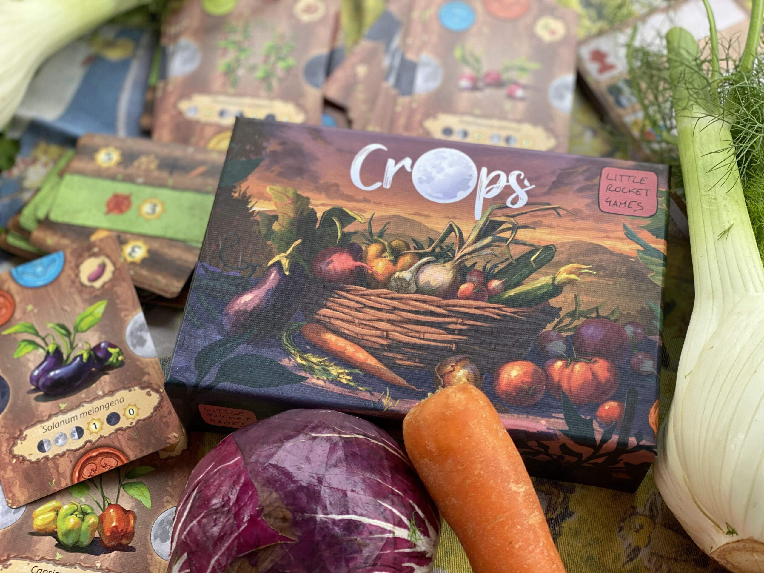 little-rocket-games-crops-jeu-de-strat-gie-potager image 7