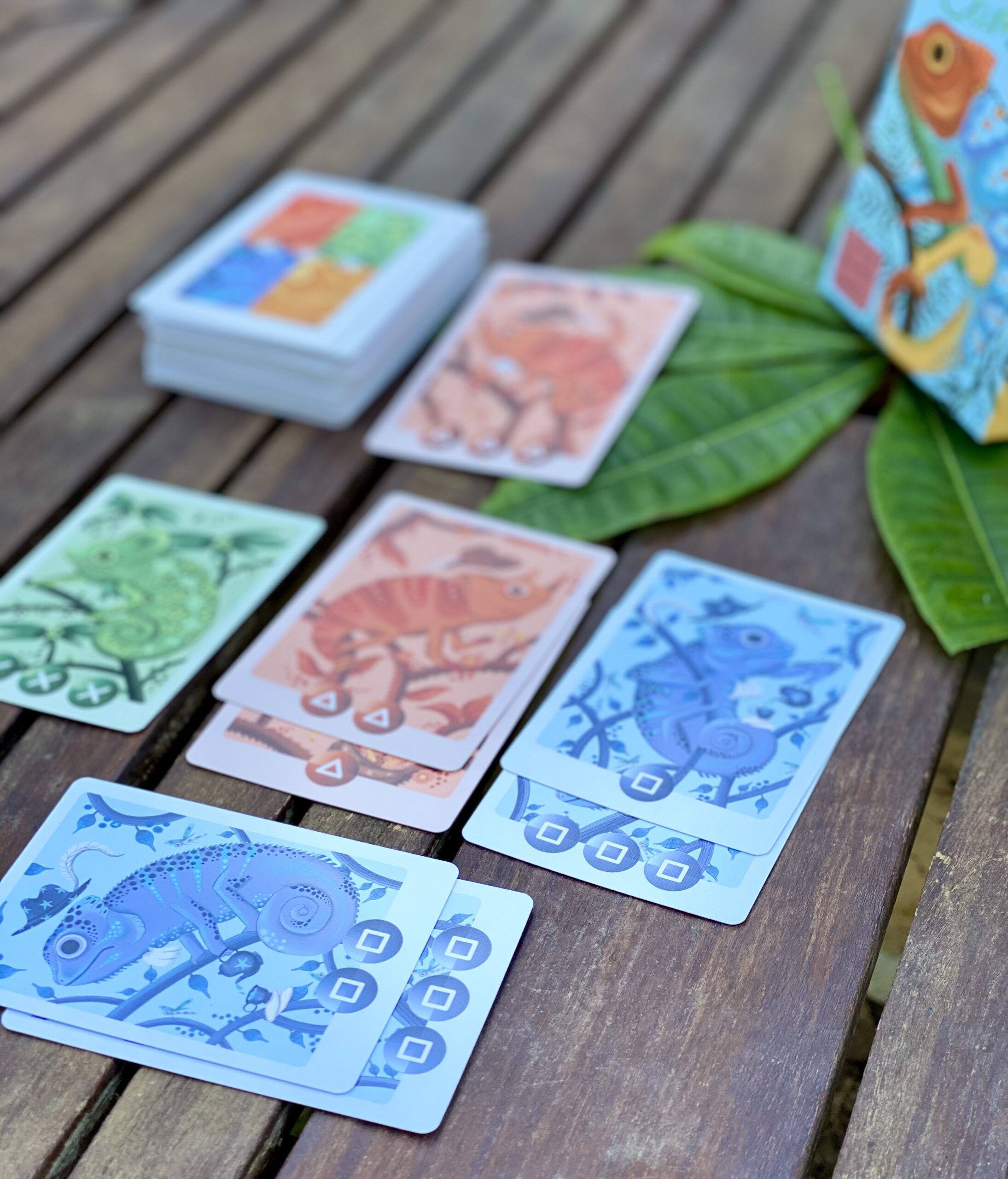little-rocket-games-camelio-jeu-de-cartes-couleurs-cam-l-on image 5