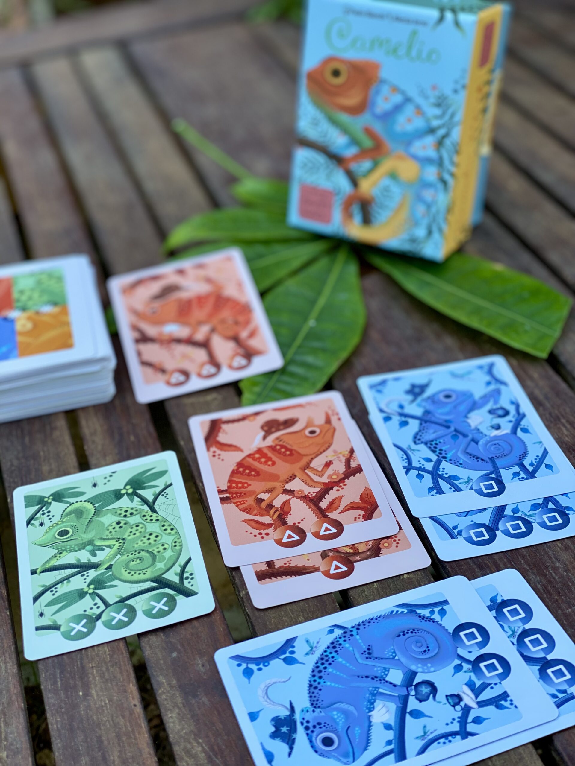 little-rocket-games-camelio-jeu-de-cartes-couleurs-cam-l-on image 6