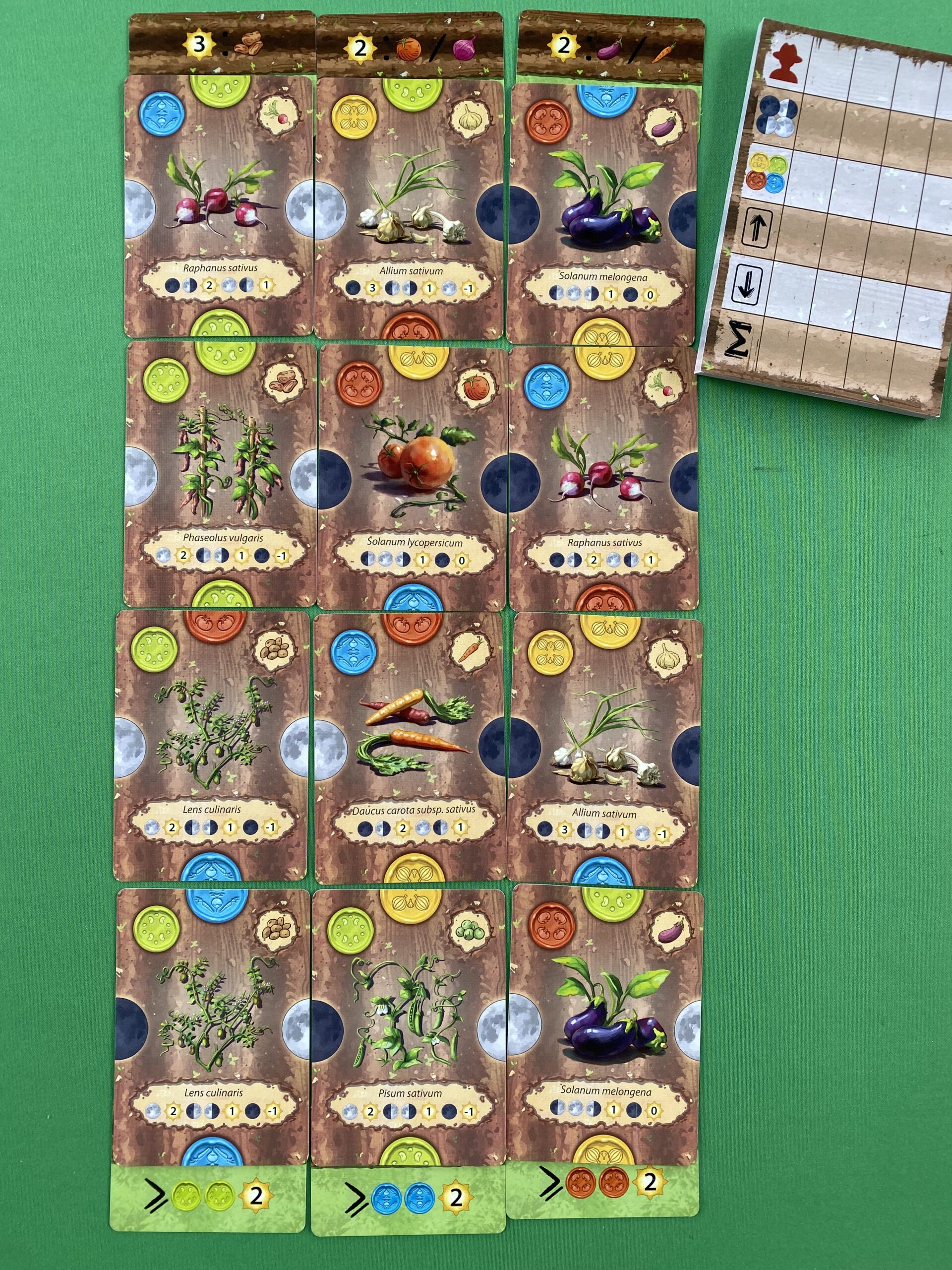 little-rocket-games-crops-jeu-de-strat-gie-potager image 3