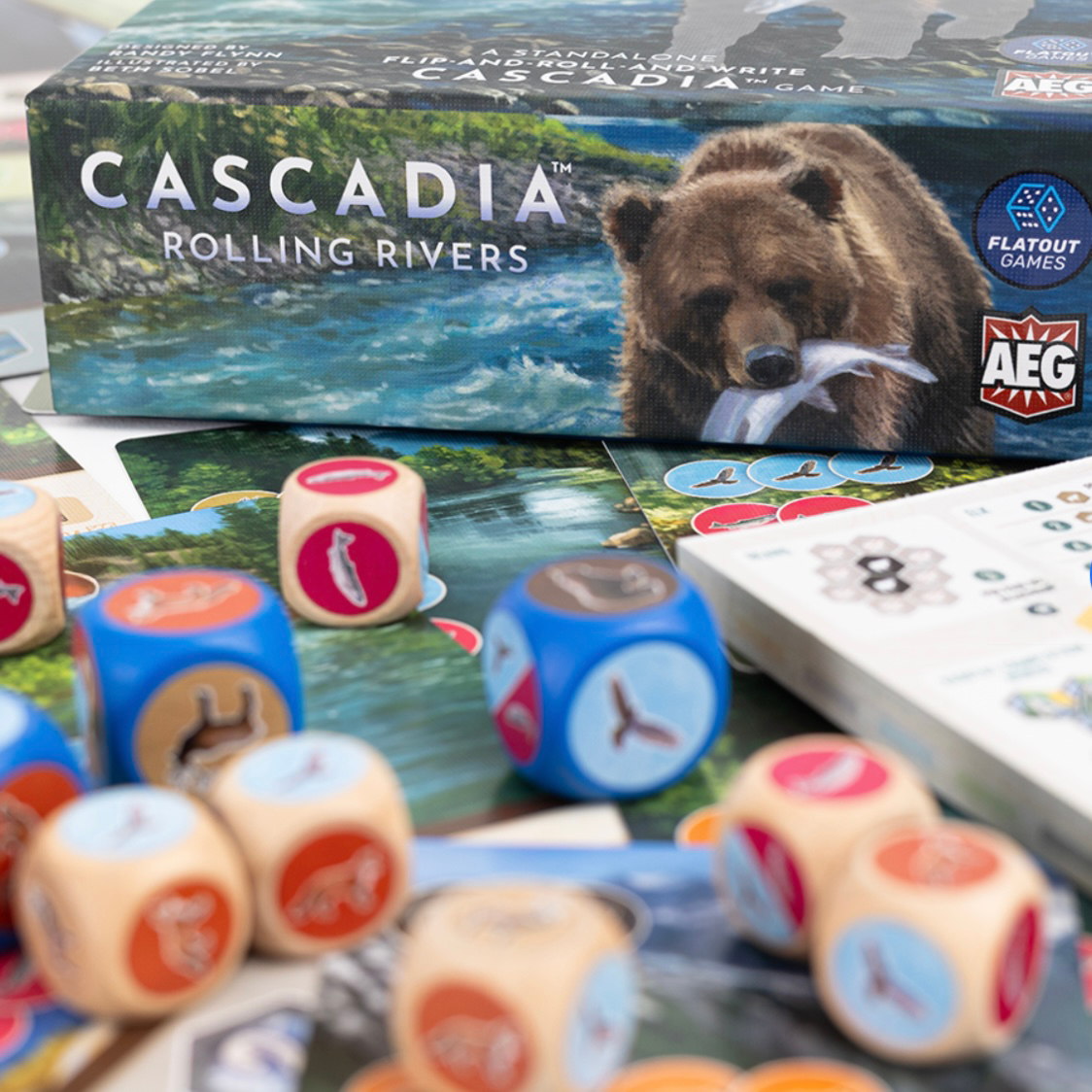 little-rocket-games-blue-collection-cascadia-rolling-rivers-jeu-roll-write image 3