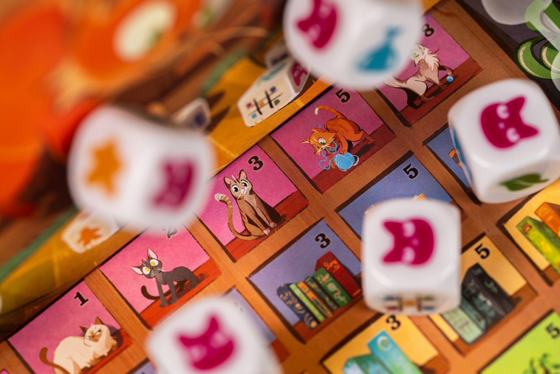 cranio-creations-my-shelfie-the-dice-game-jeu-de-d-s-famille image 6