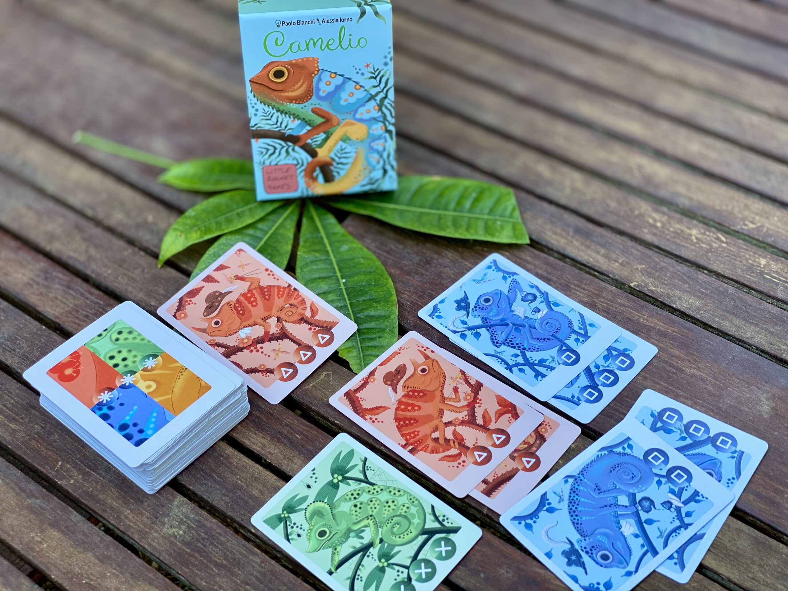 little-rocket-games-camelio-jeu-de-cartes-couleurs-cam-l-on image 3